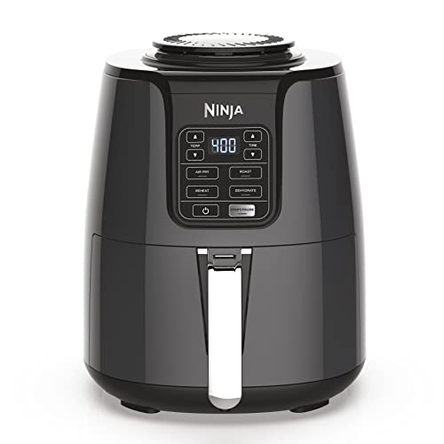 10 Best Air Fryer for a Family of 4